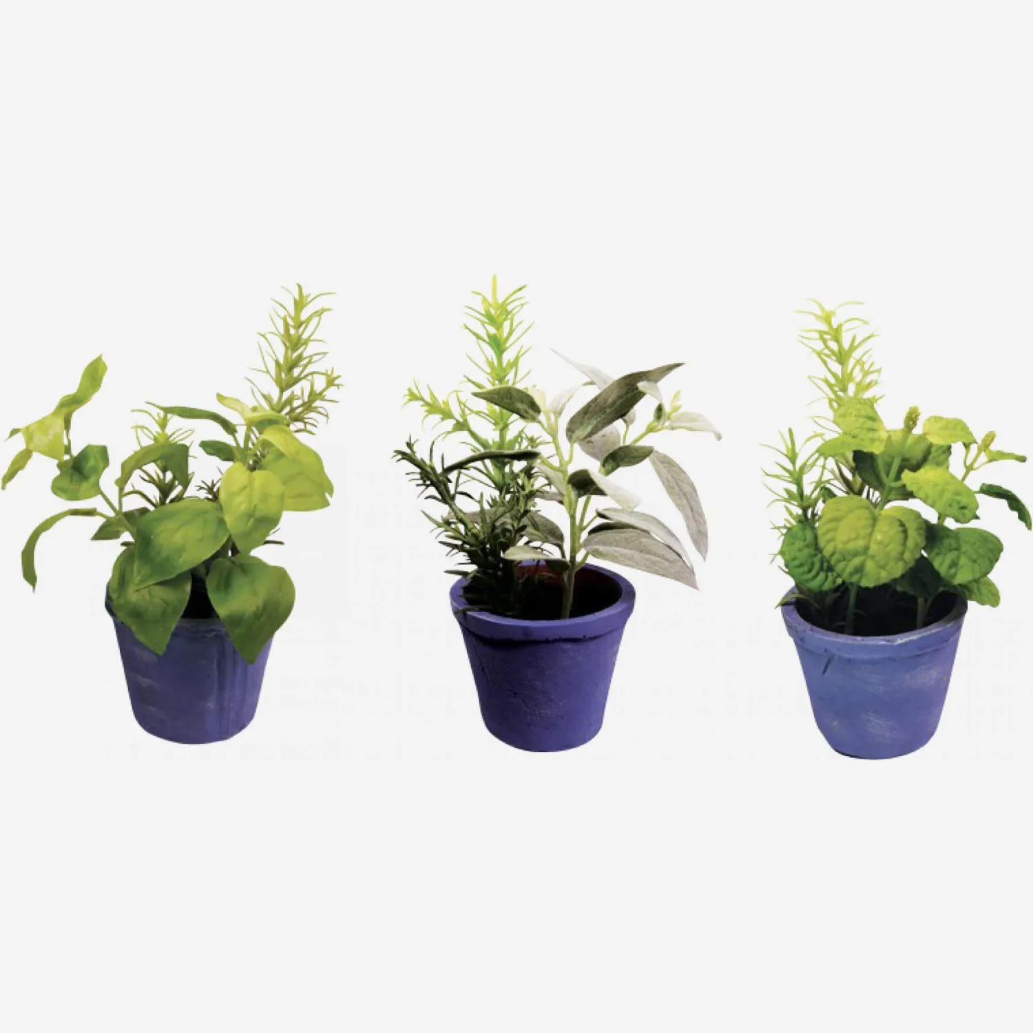 Pot d'herbes aromatiques