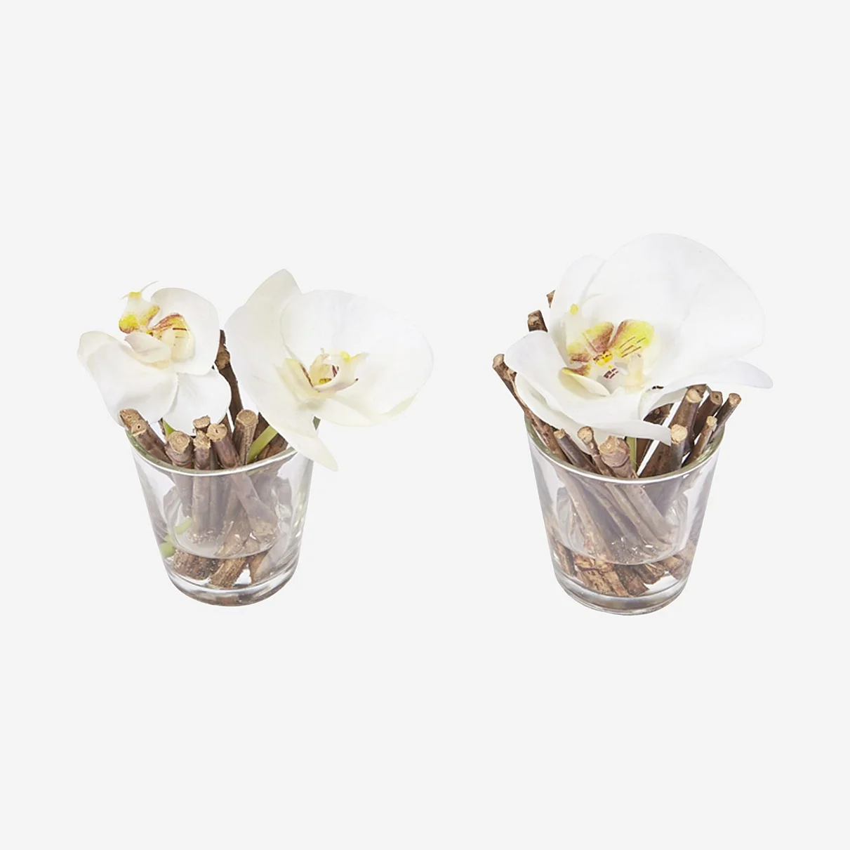 2 orchidées phalaenopsis avec illusion d'eau - Blanc - 1