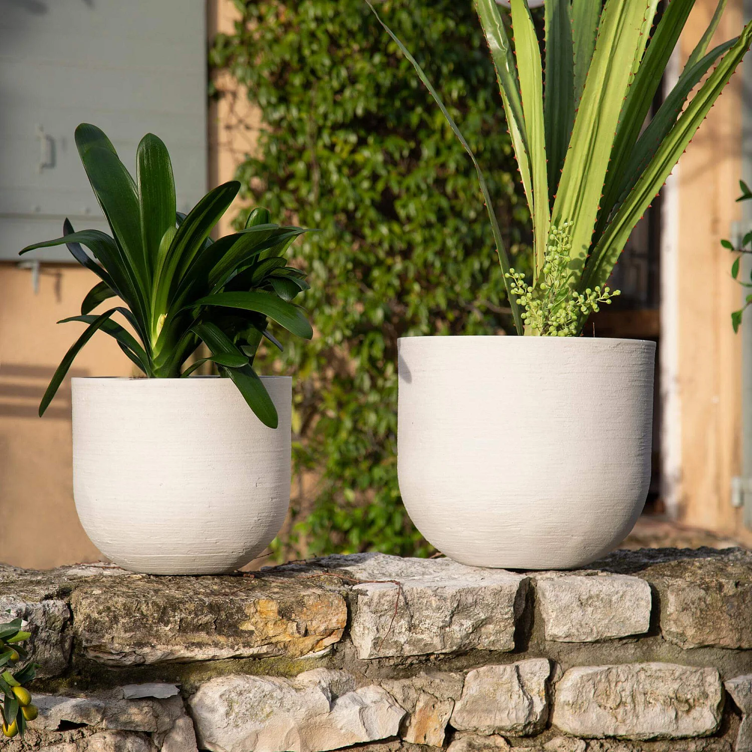 Lot de 2 cache-pots en ciment - Beige - 2
