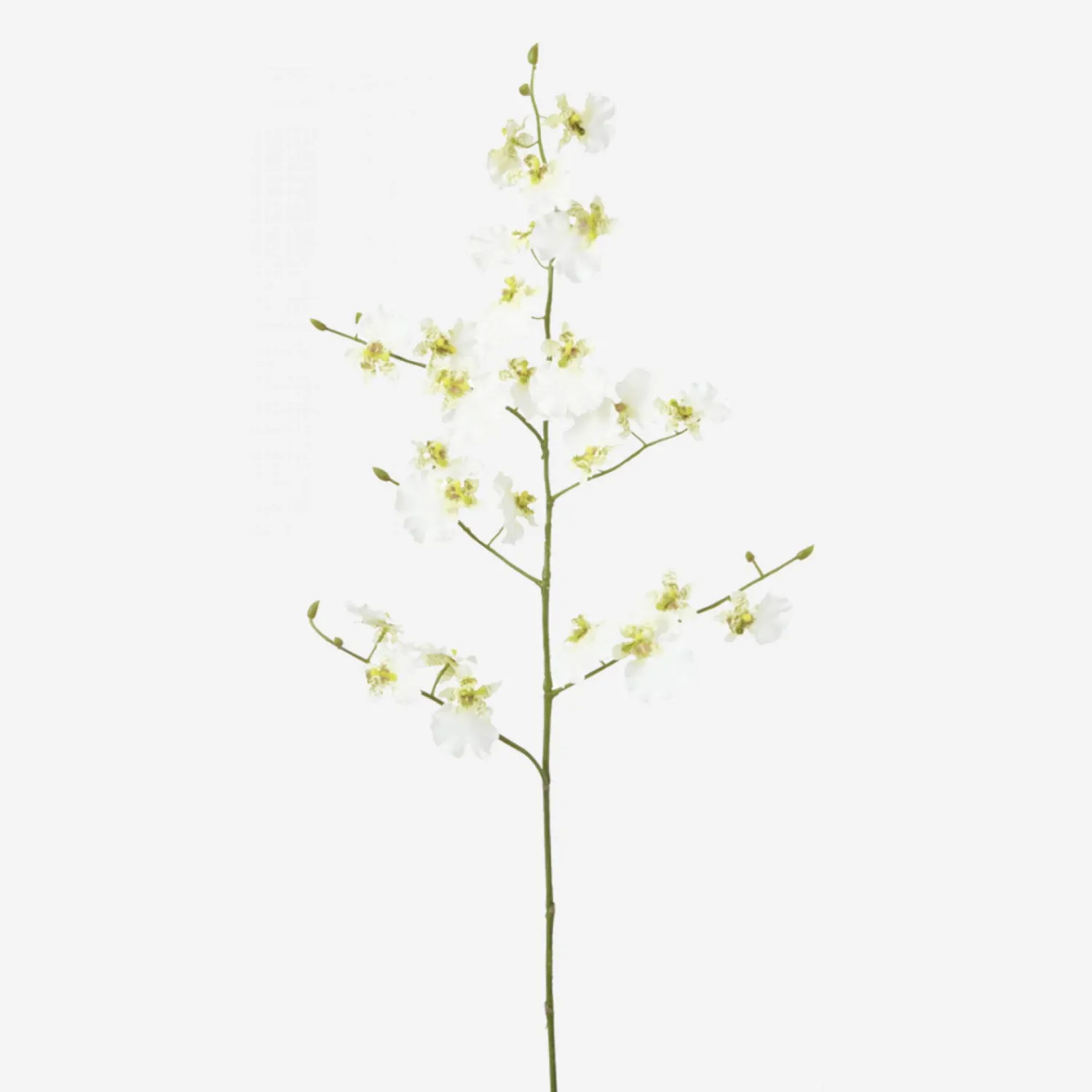 Tallo de orquídea - 94 cm