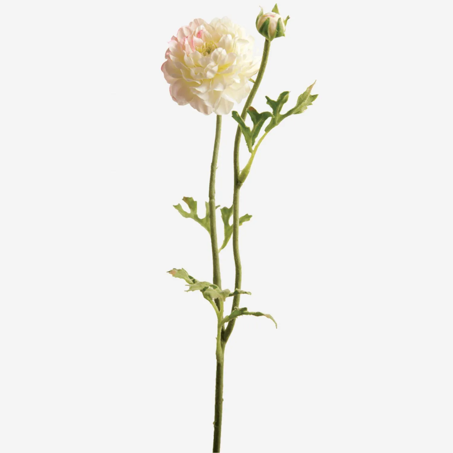 Tallo de ranúnculo blanco - 36 cm