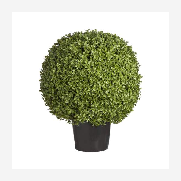 Artificial potted boxwood 55cm 