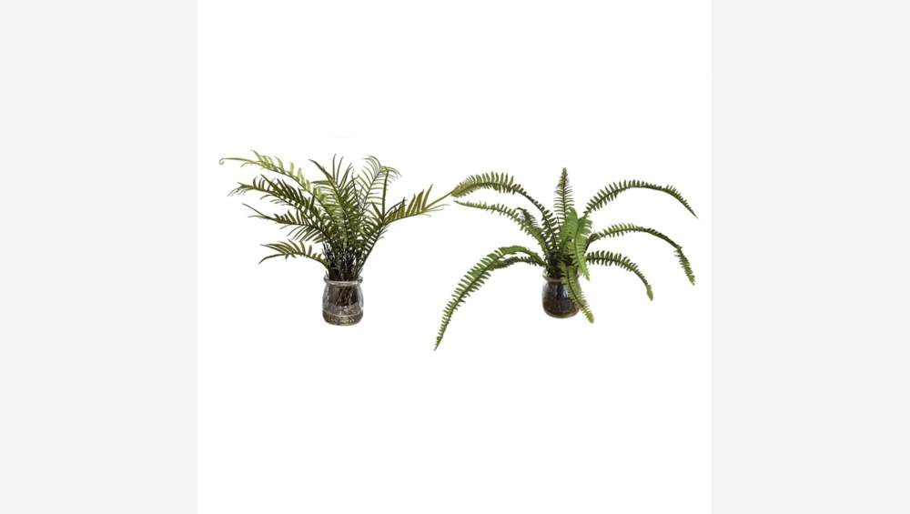 Set of 2 artificial ferns 28cm with glass pot