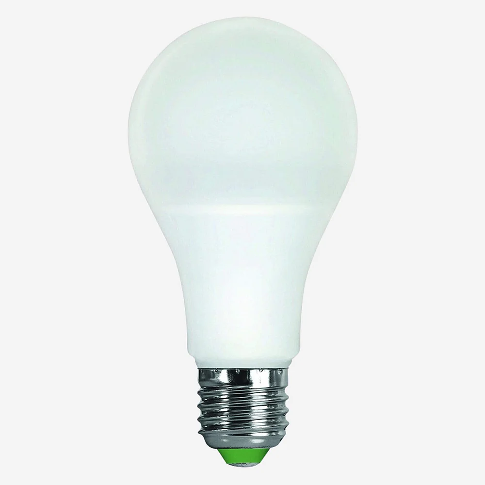 Lampadina a LED A65 E27 - 12W - 2700K (Lote de 10) - 1