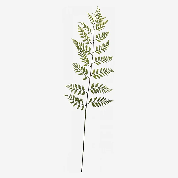 Petite feuille de fougère  (Lot de 36) - 1