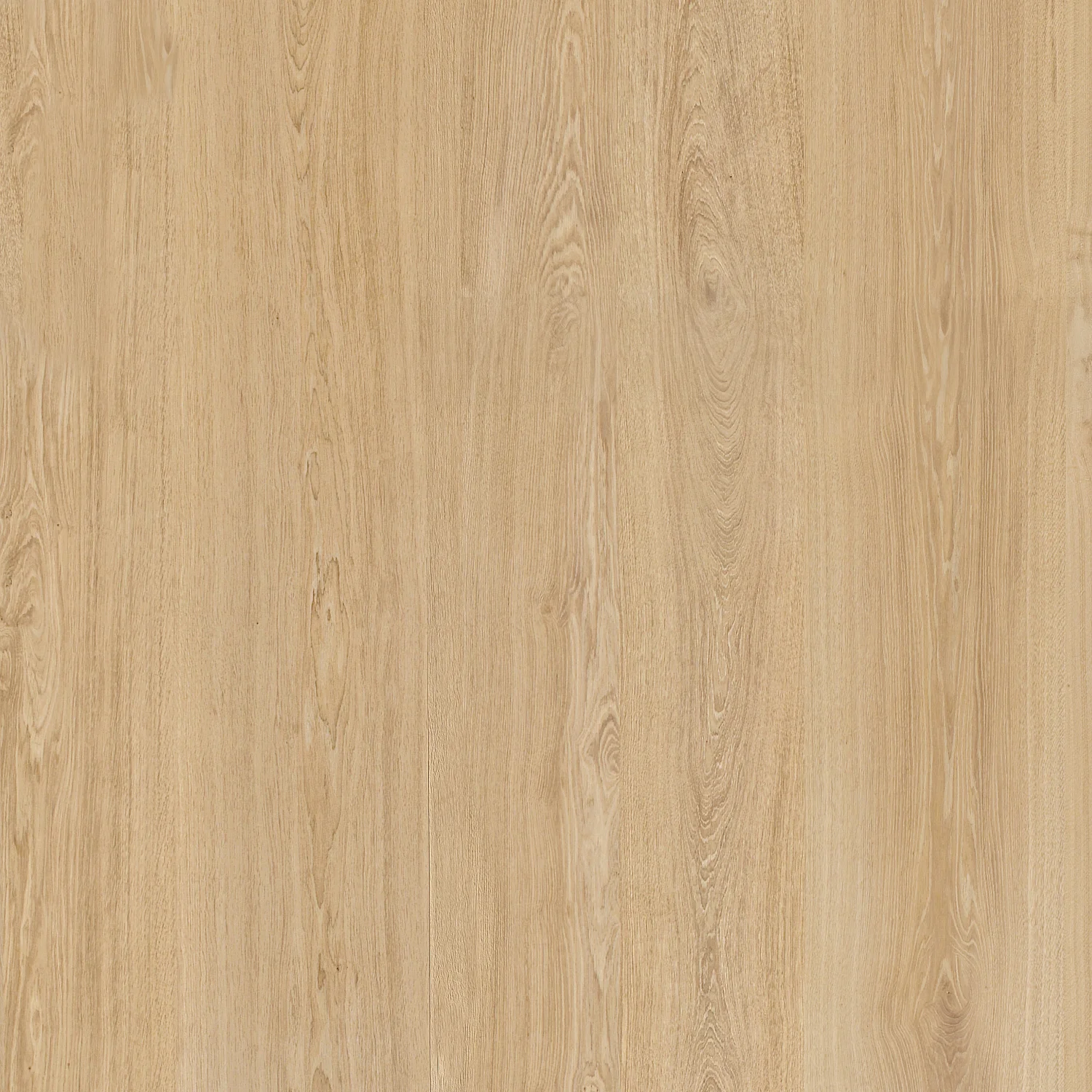 Meuble TV suspendu 2 tiroirs en chêne - Naturel - 5