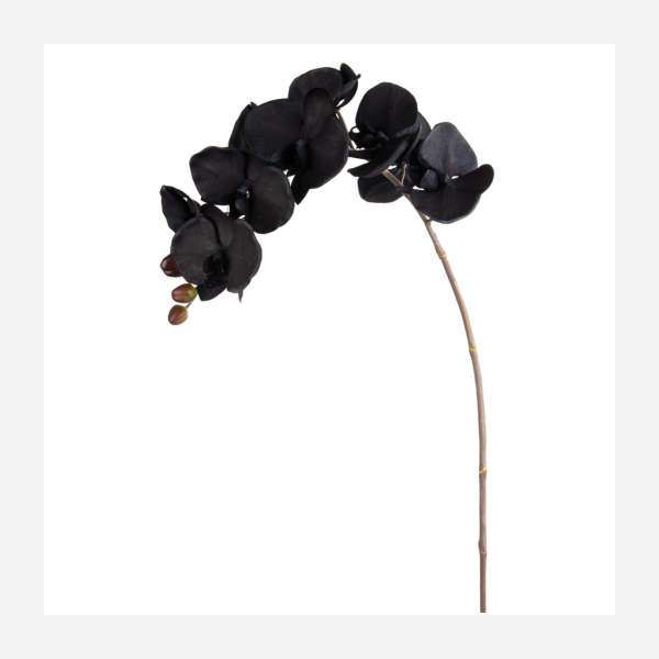 Orquidea Phalaenopsis artificial 100cm negra