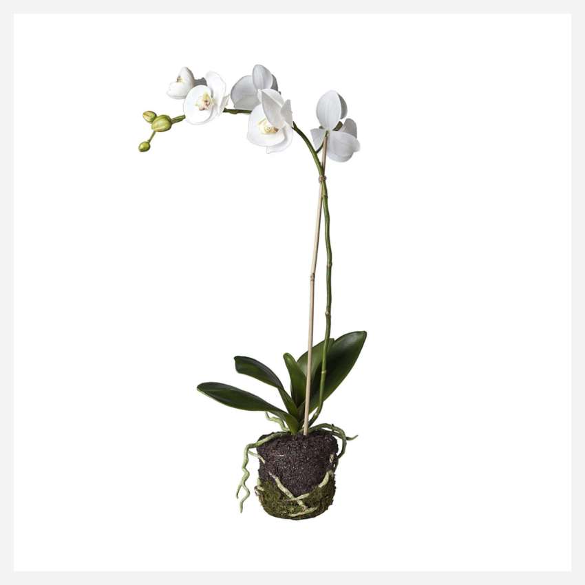 Artificial white Phalaenopsis Orchid plant 59cm S