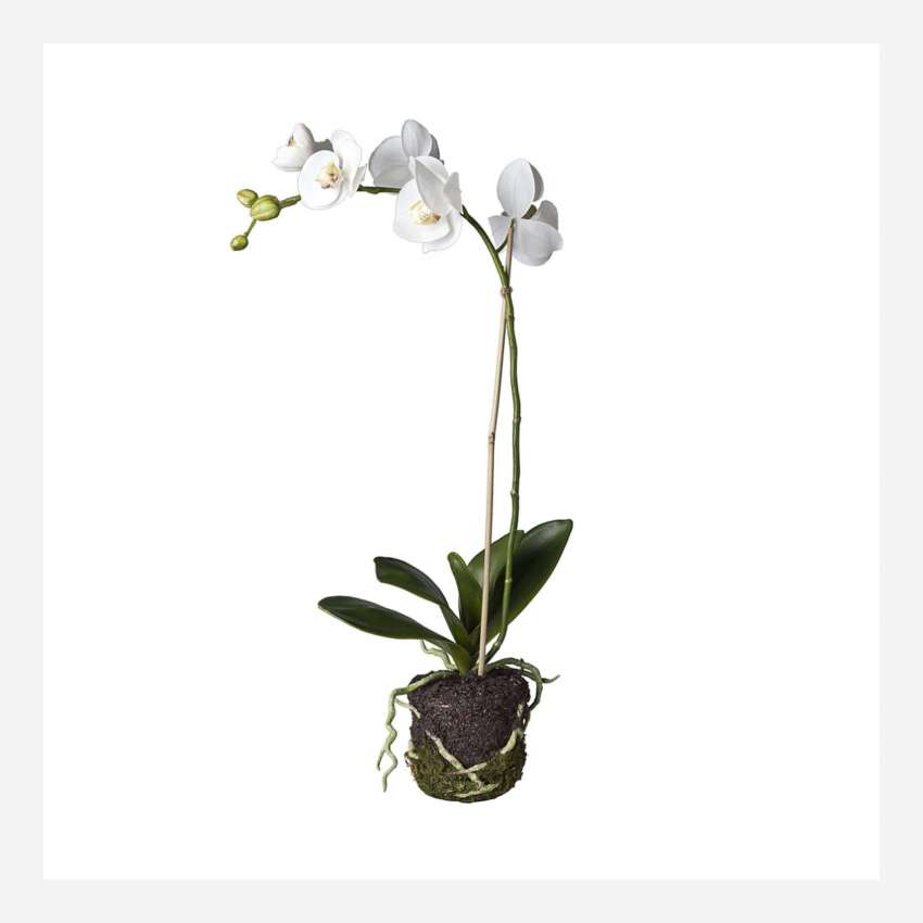 Planta artificial  de orquidea Phalaenopsis 59cm blanche PM