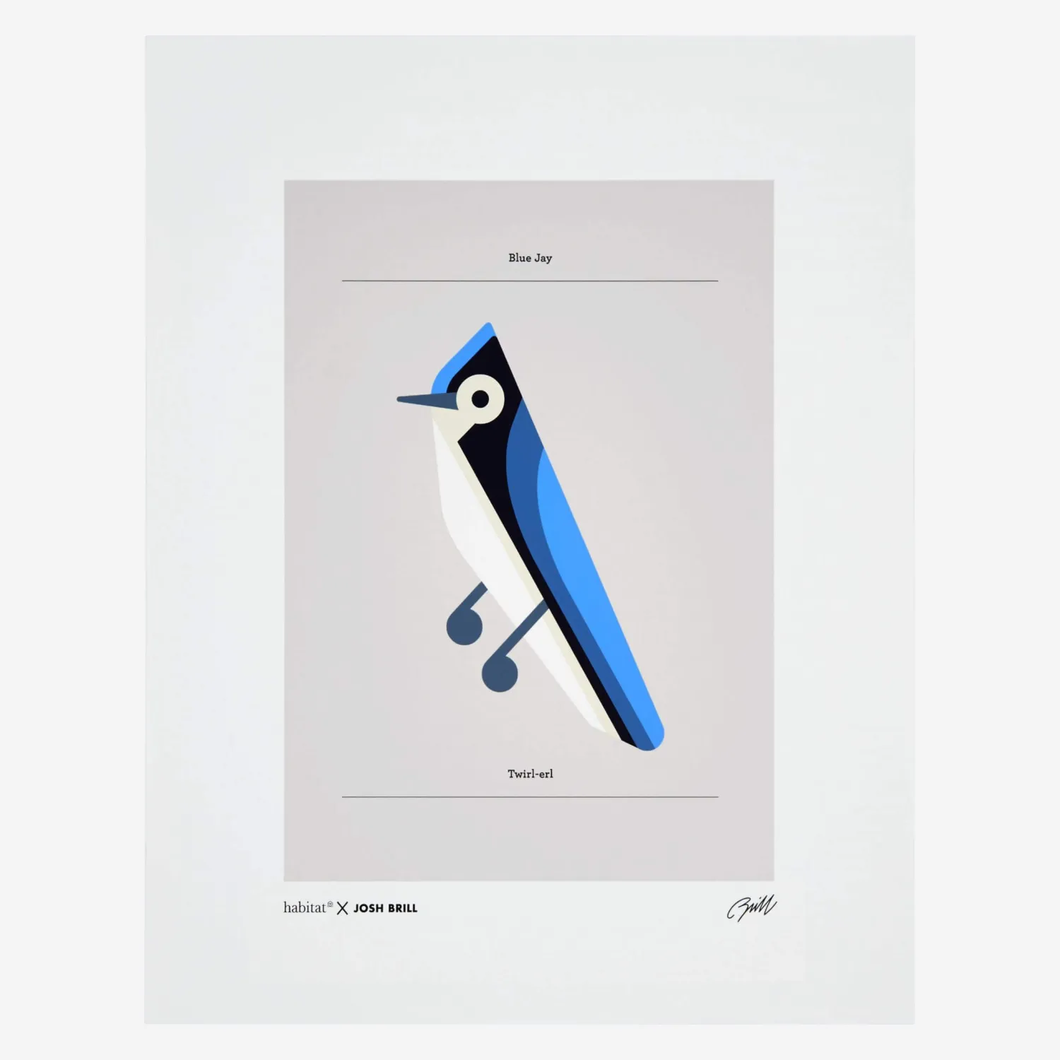 Affiche Josh Brill - Blue Jay 40x50cm - 1