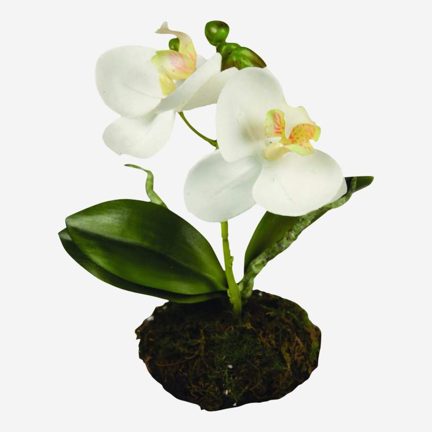 Artificial Phalaeonopsis Orchid plant in a clump 13 cm white