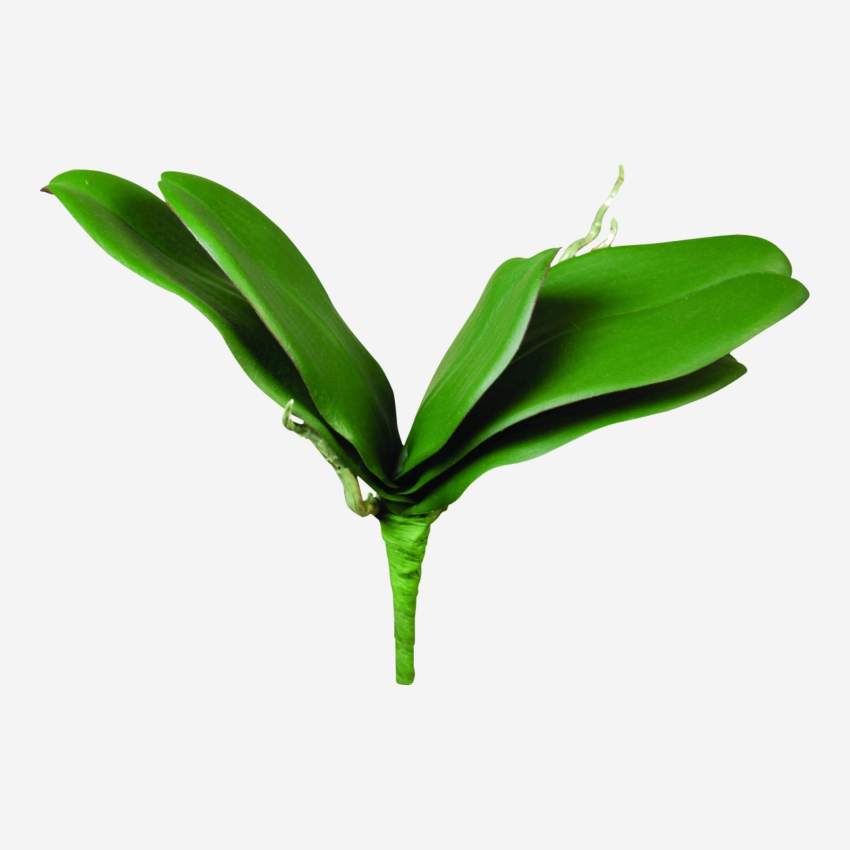 Artificial Phalaenopsis Orchid Leaves 30cm