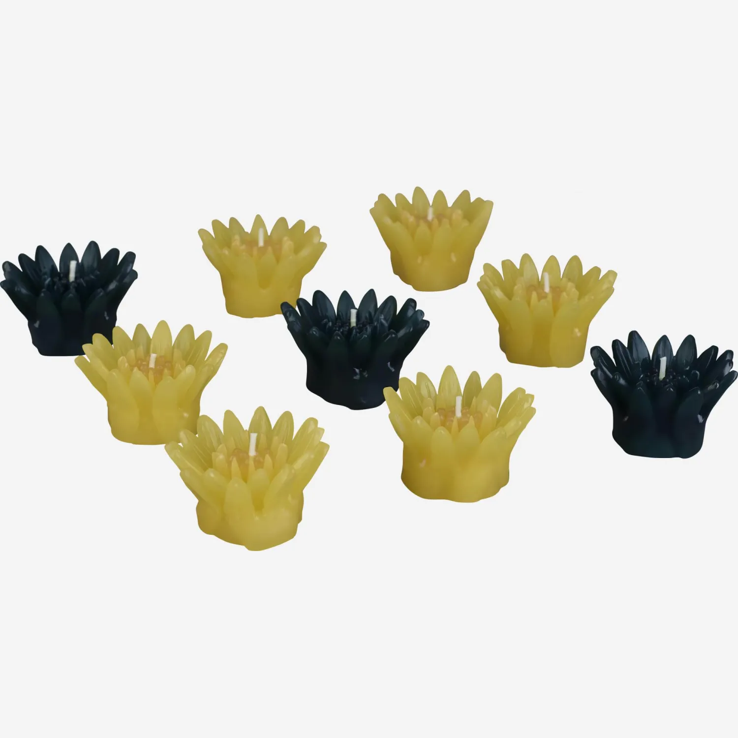 9 Bougies 