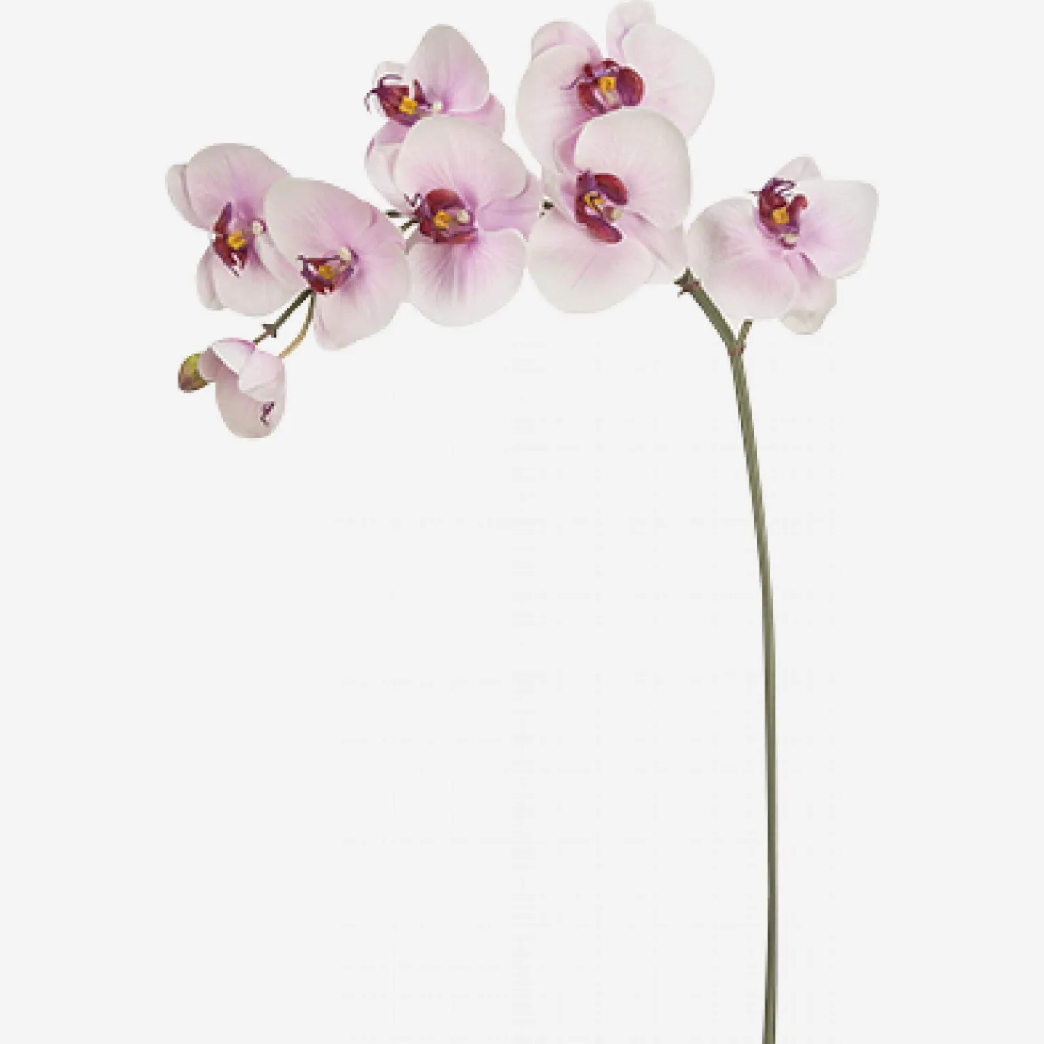 Orquídea phalaenopsis artificial 85.5cm rosa