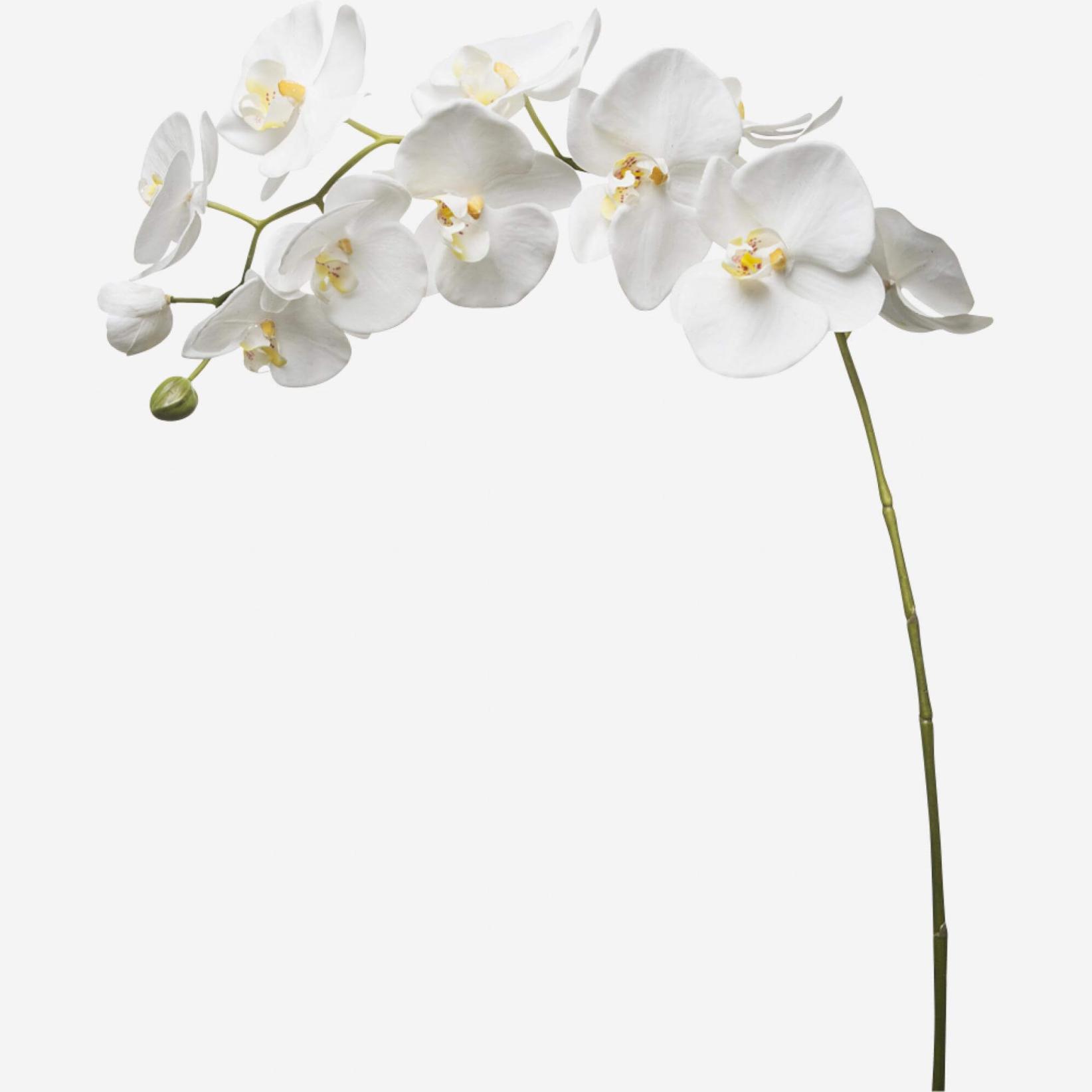 Künstliche Orchidee Phalaenopsis, 100 cm, weiß