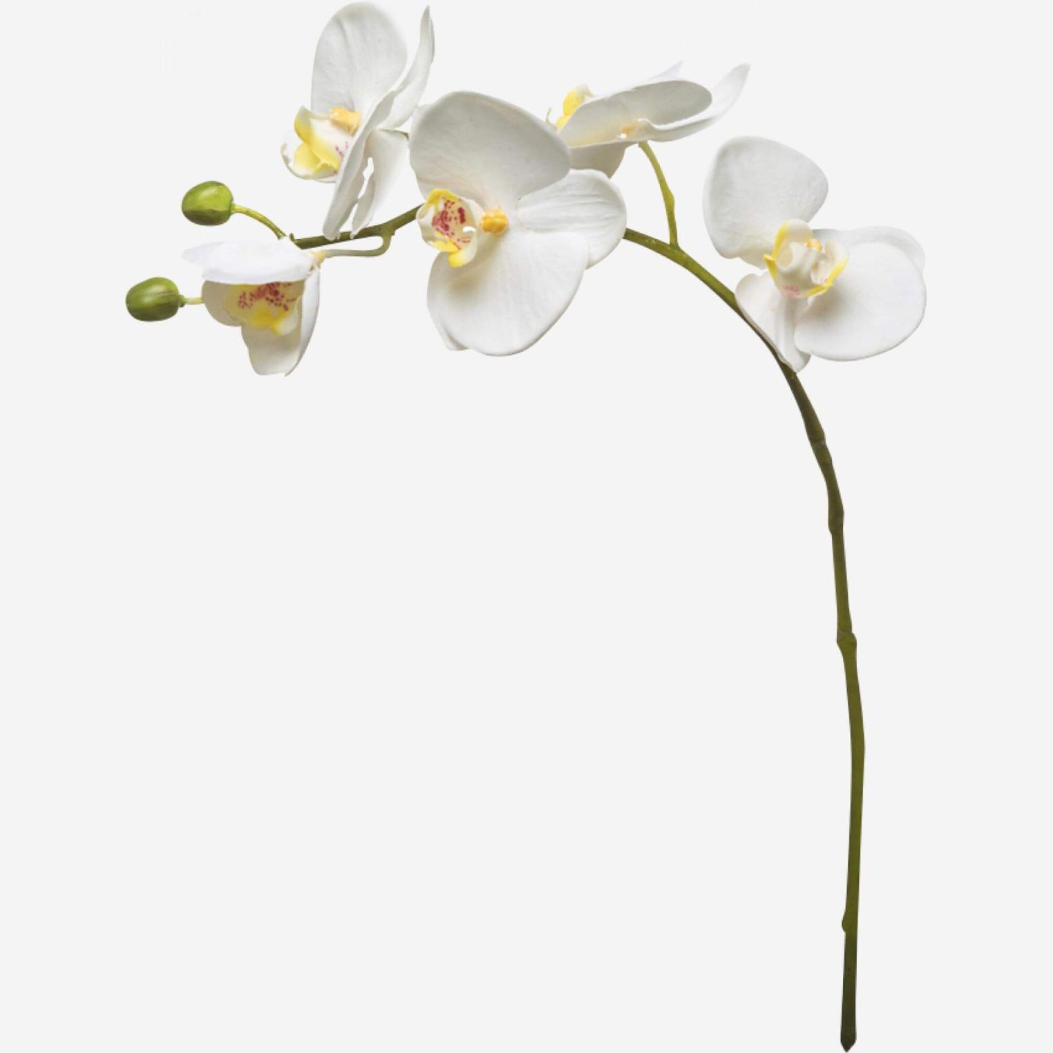 Künstliche Orchidee Phalaenopsis, 47,5 cm, weiß