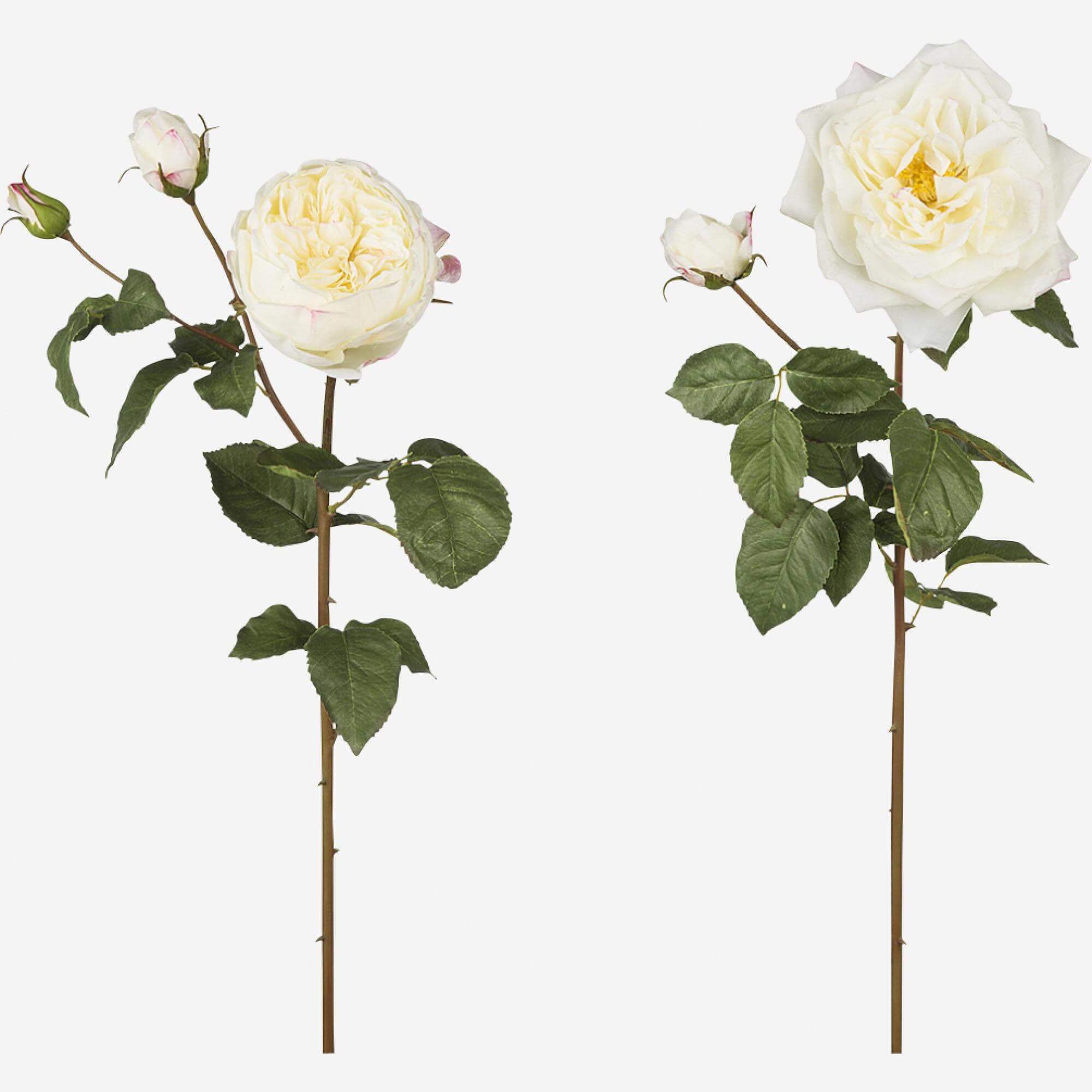 Surtido de 2 rosas artificiales 77cm blancas