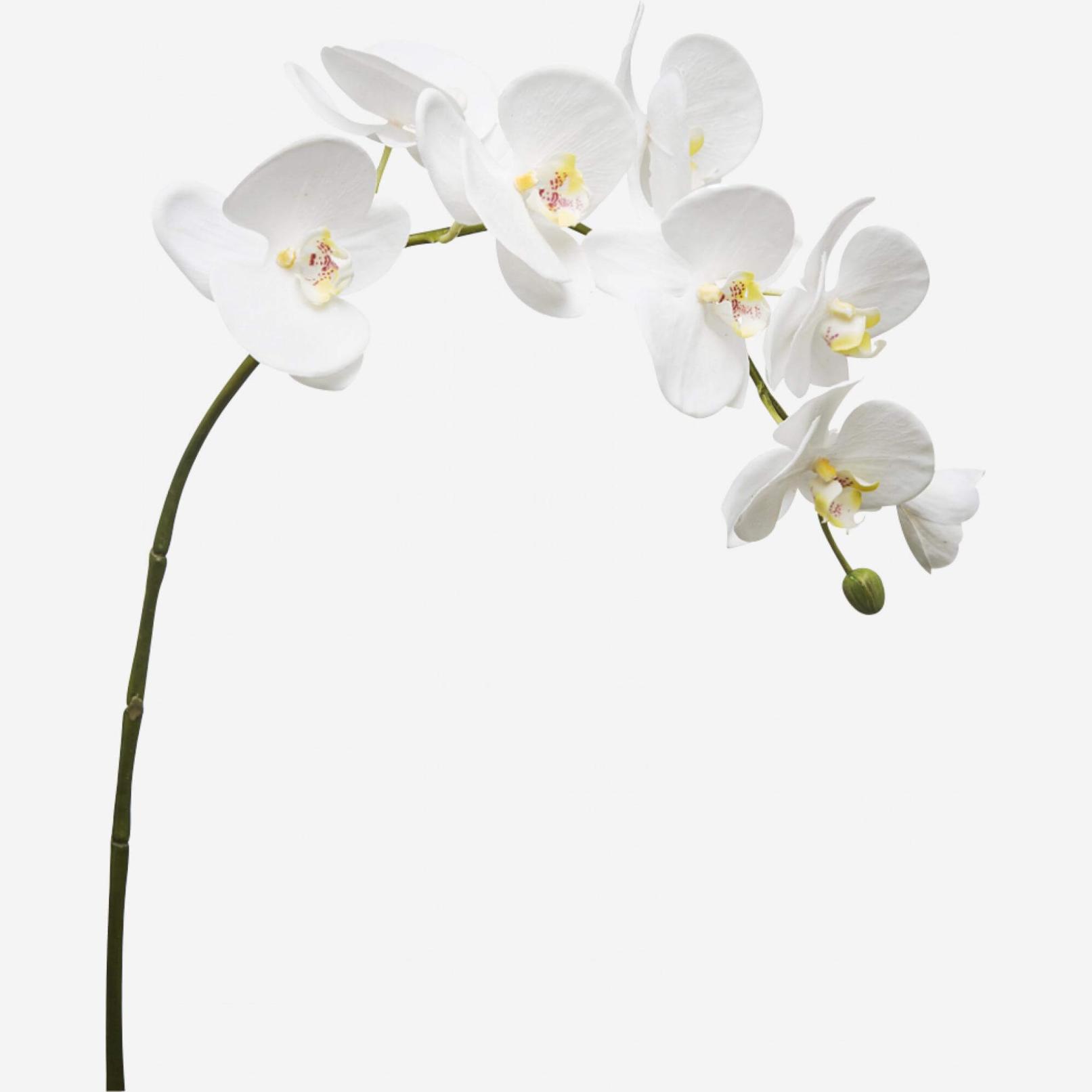 Kunstmatige orchidee Phalaenopsis 82,5cm wit