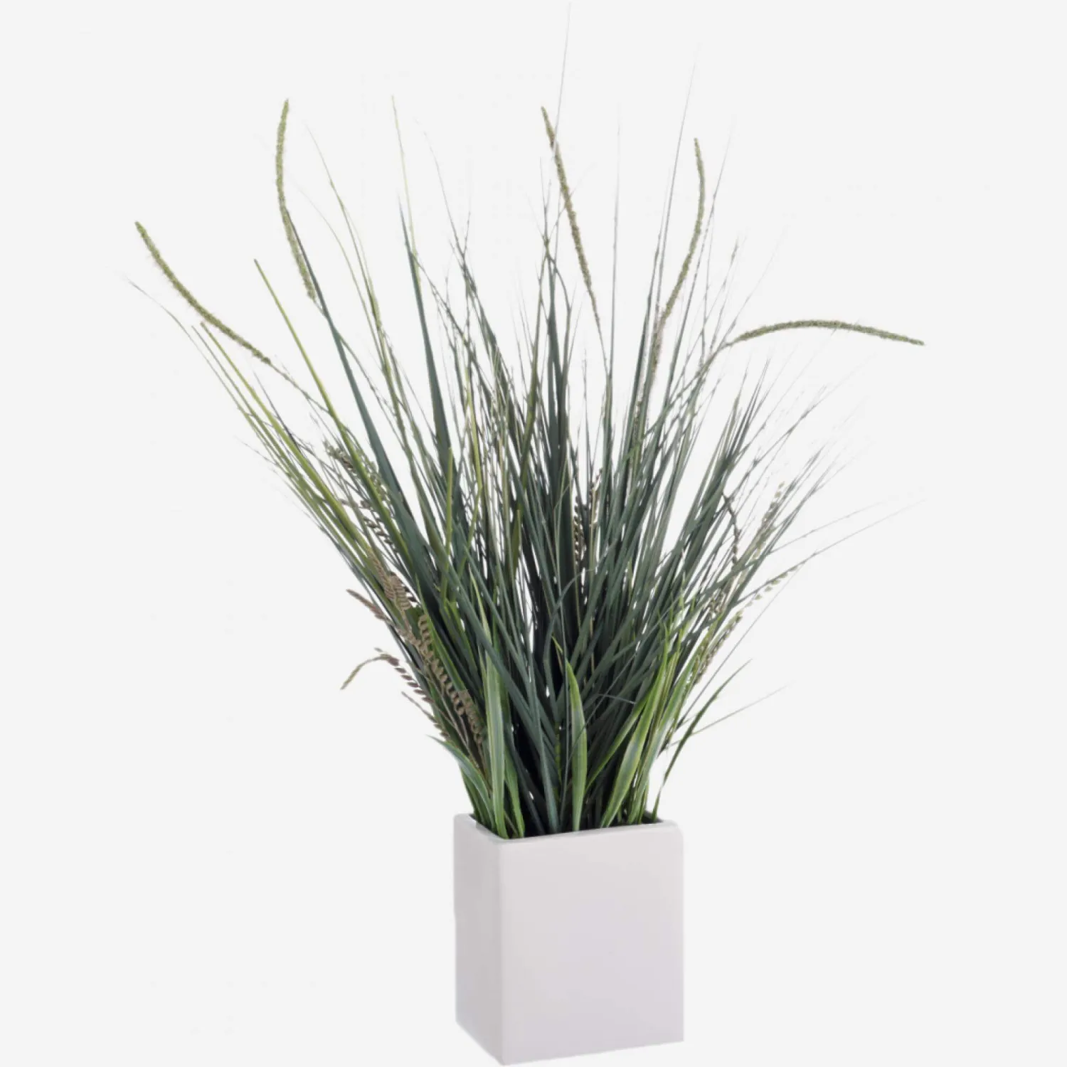 Graminées en pot